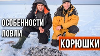 Особенности ловли корюшки