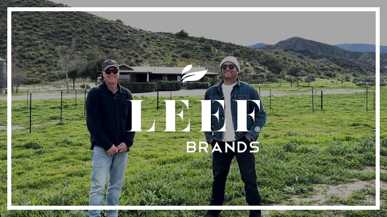 Планы LEEF Brands по выращиванию зелени на 2026 год | Обновленная информация о ранчо Salisbury Ca...