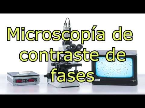 Vídeo: Por que usamos microscopia de contraste de fase?