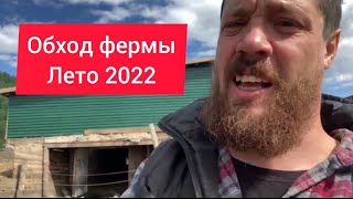 Обход фермы лета 2022