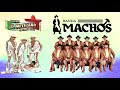Banda Machos y Mi Banda el Mexicano mix - PURAS ROMANTICAS DEL RECUERDO