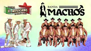 Banda Machos y Mi Banda el Mexicano mix - PURAS ROMANTICAS DEL RECUERDO