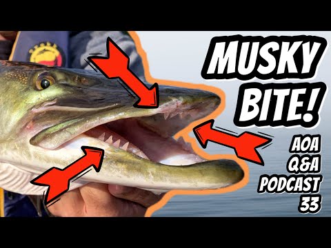 Musky Bite Lures and Legs - AOA Podcast 33 