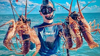 Catching LOBSTER in the FLORIDA KEYS!!! (shallow water free diving) #83