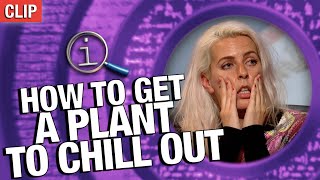 How To Get A Plant To Chill Out | QI