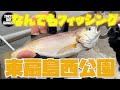 【初心者必見】東扇島西公園なんでもフィッシング！初心者でも簡単に釣れます！！