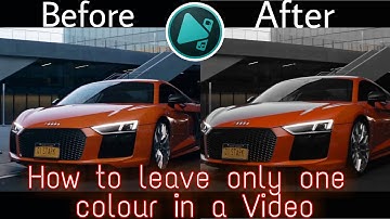 How to leave only one colour in a video Using vsdc video editing software