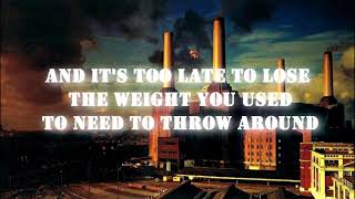 Pink Floyd - Dogs W/Lyrics