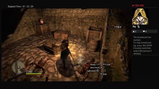 Dragon's Dogma Dark Arisen Just Grinding.