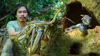 How to Detect a Lair Crowded With Ferocious Snakes- Primitive Hunting and Survival, Part 5