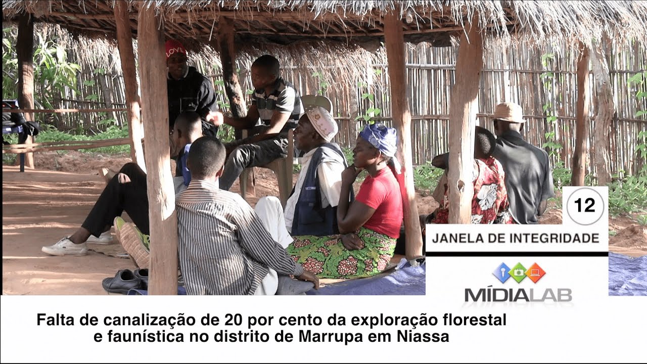 Falta de canalização de 20 % da exploração florestal e faunística no distrito de Marrupa em  Niassa