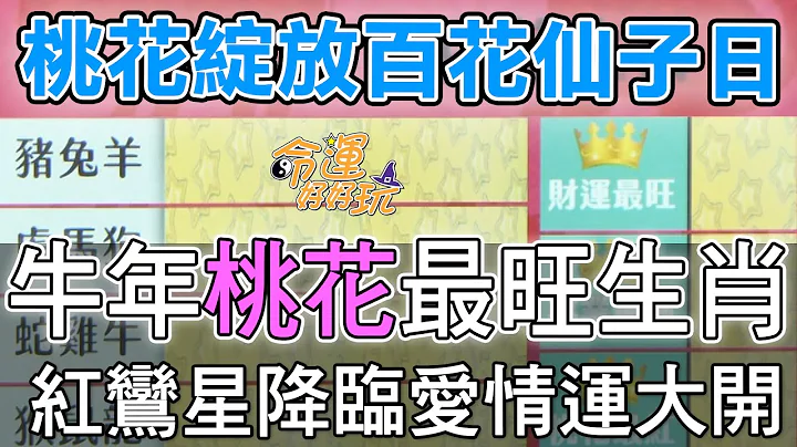 【精華版】牛年桃花最旺生肖！紅鸞星降臨愛情運大開 - 天天要聞