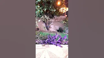 الدال على الخير كفاعله السعودية العراق العالم المغرب حديث اكسبلور الشعب الصيني ماله حل العالم 