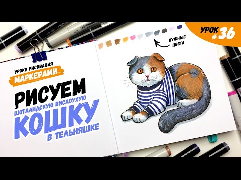 Как нарисовать кошку в тельняшке? / Урок по рисованию маркерами для новичков #36