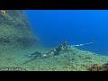 CHASSE SOUS MARINE BEST SHOT SPEARFISHING 2026