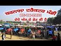 Barnala Tractor Mandi | Second Hand Tractor | ਬਰਨਾਲਾ ਟਰੈਕਟਰ ਮੰਡੀ