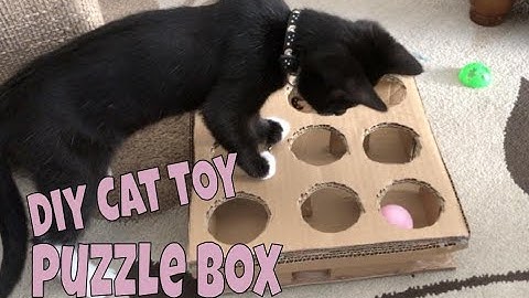 DIY Cat Puzzle Box (Cat Puzzle Toy)