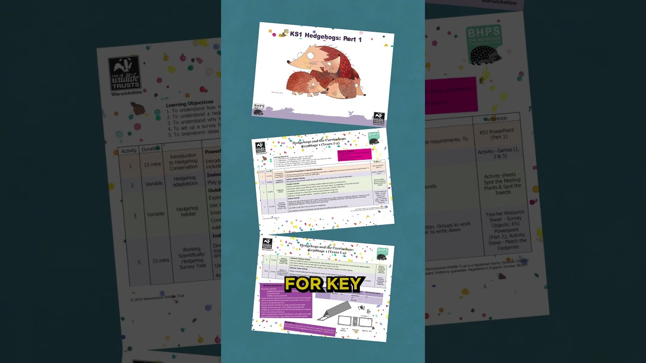 Teaching Resource Pack For Hedgehog Awareness Week