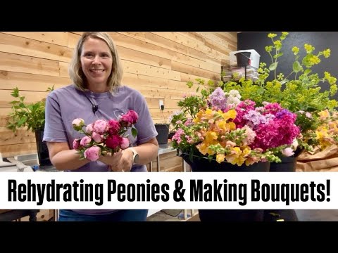 Using Dry Stored Peonies in Bouquets : cut flowers : Zone 5 : flower farm : bouquet making