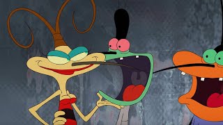 Oggy and the Cockroaches - LADY K (S04E54) BEST CARTOON COLLECTION | New Episodes in HD