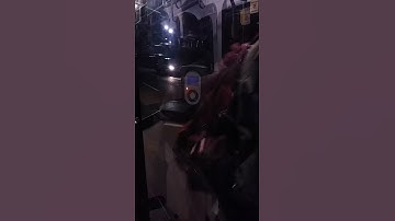 Not even the Opal Card Reader Indicator Lights can be trusted now