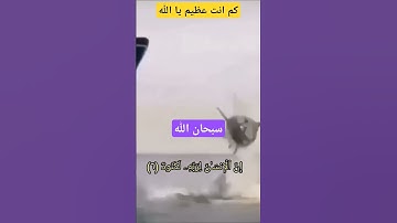 "(إِنَّ الْإِنسَانَ لِرَبِّهِ لَكَنُودٌ.... )💖بصوت القارئ الشيخ خالدالجليل #قرآن_كريم #خالد_الجليل"