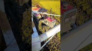 Mahindra Arjun 755 4X4 Harvester vs Massey Ferguson 4WD tractor #tractor #shortvideo #shorts