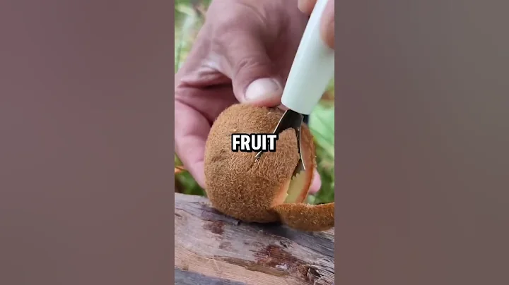 Fun facts about foods #healthy #health #nutrition #food #healthyfood  #healthtips #healthylifestyle