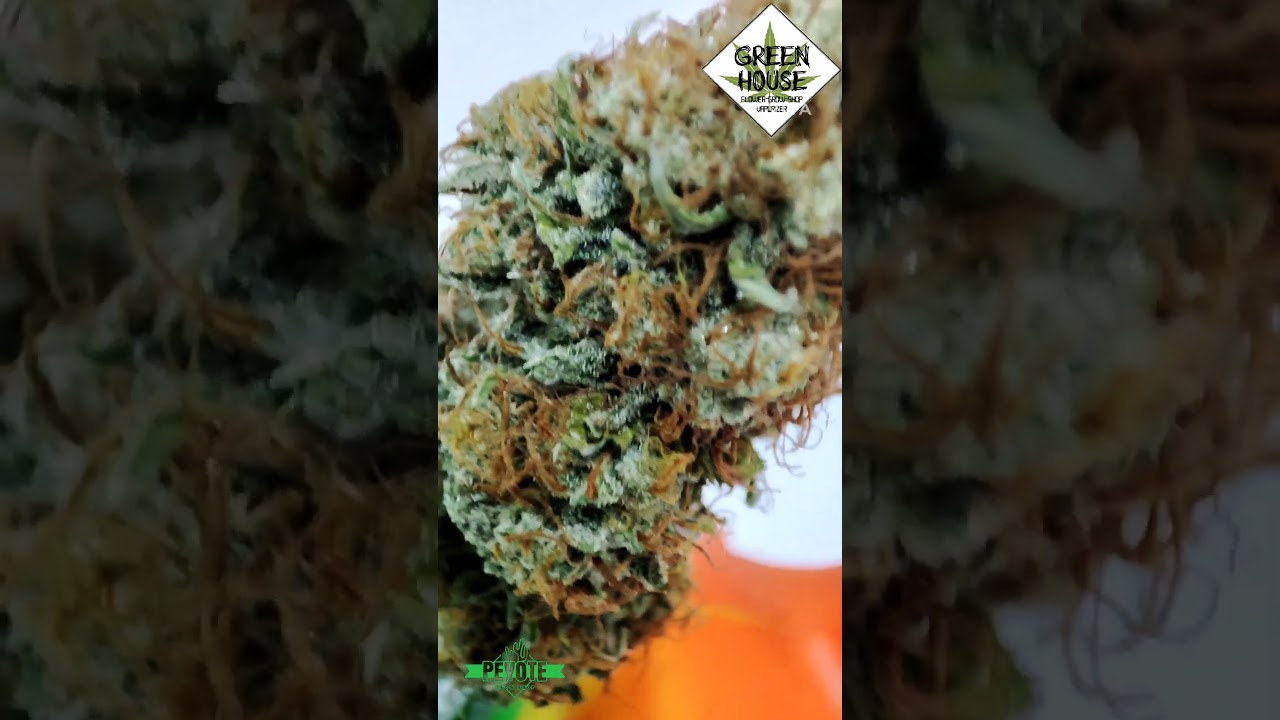 bong de silicona cristal en forma de elegante