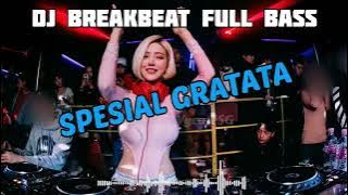 DJ BREAKBEAT MIXTAPE FULL BASS 2022 | SPESIAL GRATATA