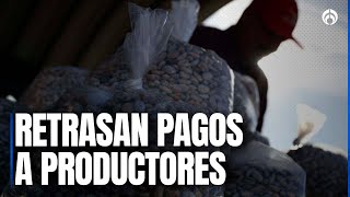Gobierno atora pagos para compra de frijol a productores