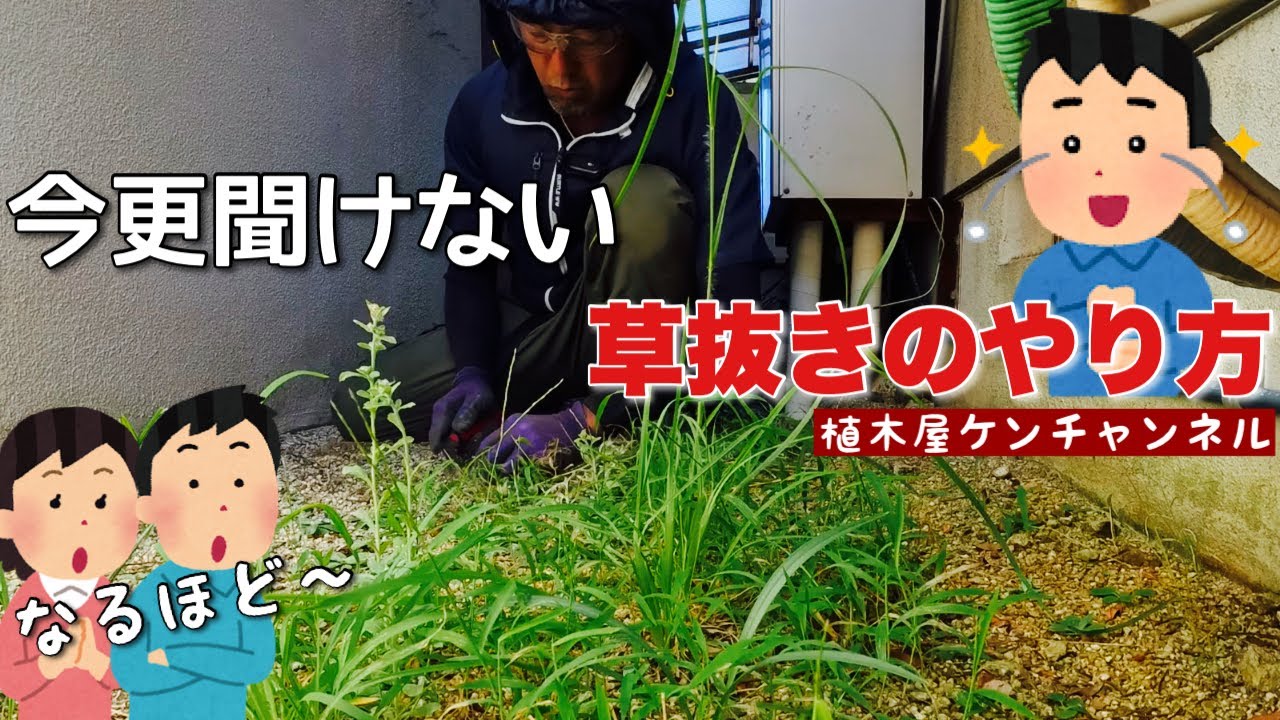Here's a simple way to quickly remove weeds from your entire
