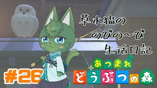 【あつ森】草木猫の のびの～び生活日記 #26 「夏は夜、虫捕り日和」（ケモノ系VTuber）