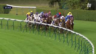 Vidéo de la course PMU PRIX DE SAINTE-OPPORTUNE