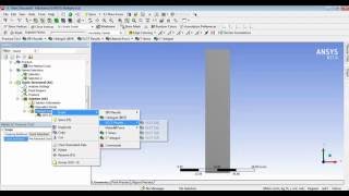 ANSYS Fracture Part 1 edge crack