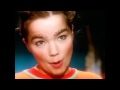 Bjrk  venus as a boy