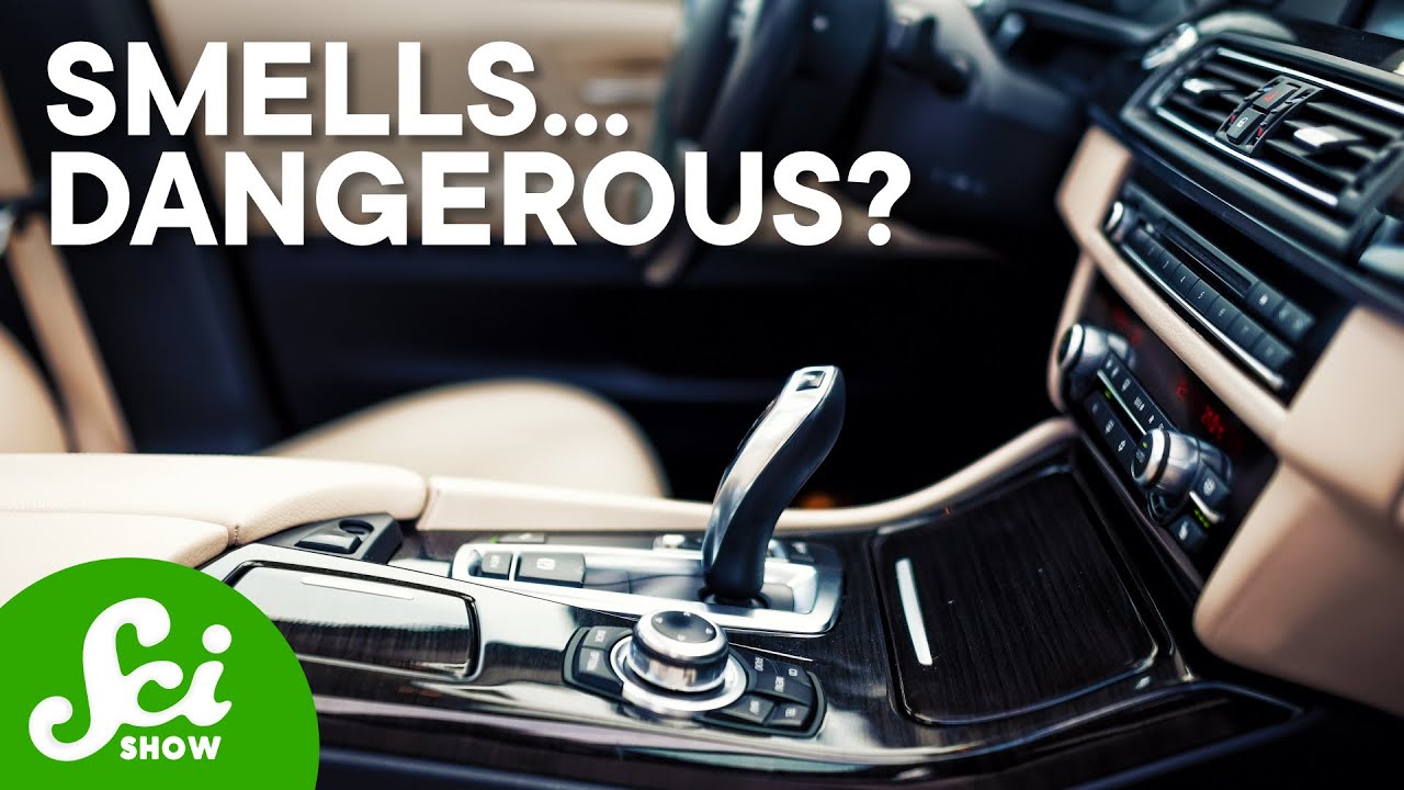 Is That “New Car Smell” Dangerous? 