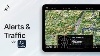 Discover Alerts & Traffic in Air Navigation Pro! screenshot 4