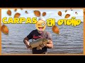 Carpas en Pleno Otoño! (Carpfishing - Córdoba/ Argentina)