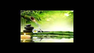 Download Lagu Suara terapi kapas tembak dan gemericik air cocok untuk masteran murai batu dan cucak ijo Download Lagu Suara terapi kapas tembak dan gemericik air cocok untuk masteran murai batu dan cucak ijo