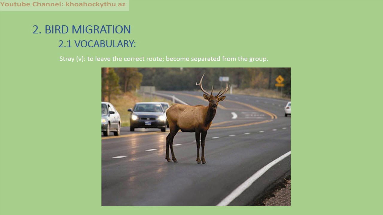 BARRON'S ESSENTIAL WORDS FOR THE IELTS | UNIT 1  | PART 2 - BIRD MIGRATION (WITH PRONUNCIATION)