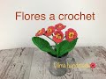 FLOR CORONA DE CRISTO (fáciles de tejer)