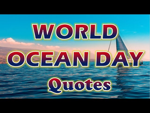 World Ocean Day 21 World Ocean Day Quotes Ocean Quotes Happy World Ocean Day June 8 Ocean Day Youtube World Ocean Day 21 World Ocean Day Quotes Ocean Quotes Happy World Ocean Day June 8 Ocean Day Youtube