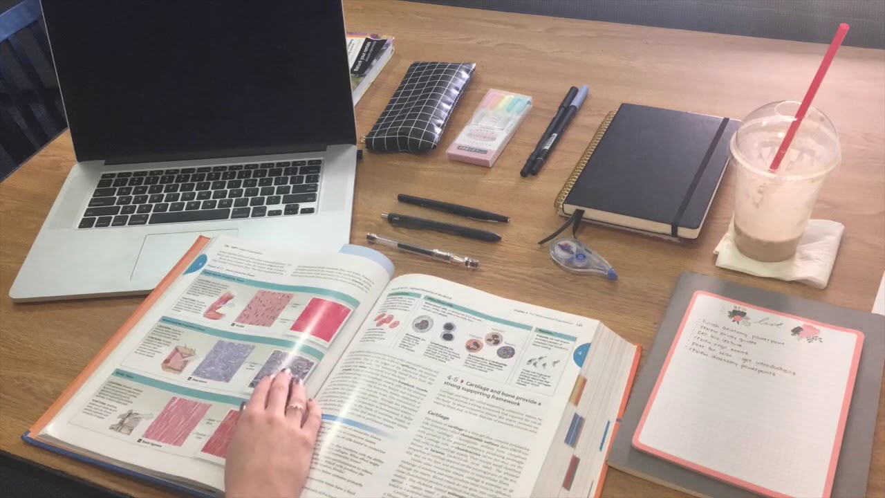 STUDY WITH ME #1 + MILDLINER GIVEAWAY