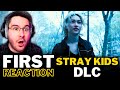 NEW K POP FAN REACTS TO STRAY KIDS DLC For The FIRST TIME