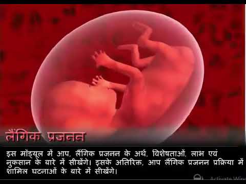 Langkik prajanan - YouTube