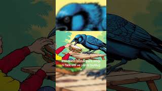 Karganın Insanları Kandırarak Yemek Siparişi Vermesi