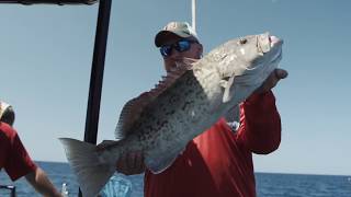Top 3 Grouper Fishing Mistakes (Are You Making One Of These)? screenshot 5