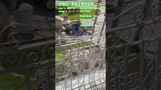 Spraying Custom Rails like a Pro #painter #painting #shorts #viral #gym #how #howto