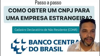 Full CADASTRO DECLARATÓRIO DE NÃO RESIDENTE - CNPJ para empresa estrangeira - Bacen News